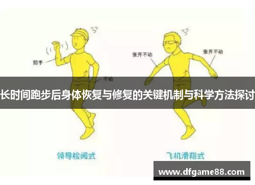 长时间跑步后身体恢复与修复的关键机制与科学方法探讨